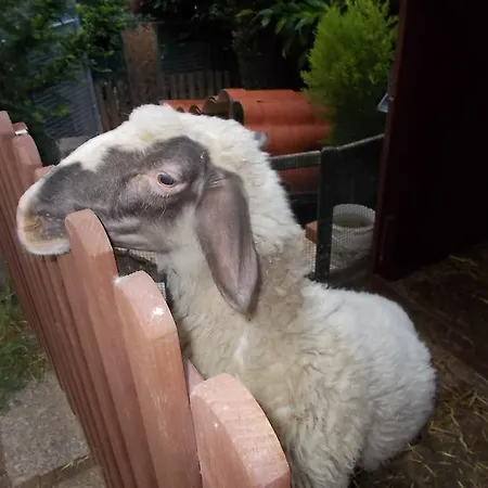 Bed & Breakfast Il Giardino Acquatico