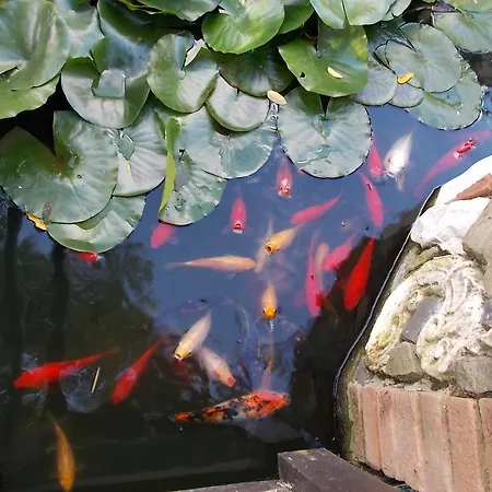 Bed & Breakfast Il Giardino Acquatico 3*