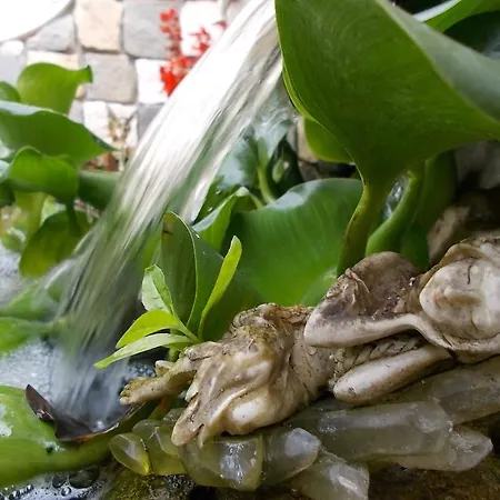 Il Giardino Acquatico