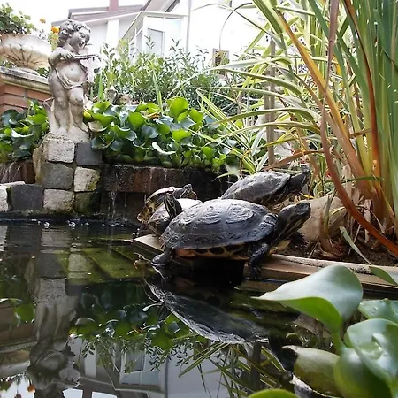 Il Giardino Acquatico Коппито