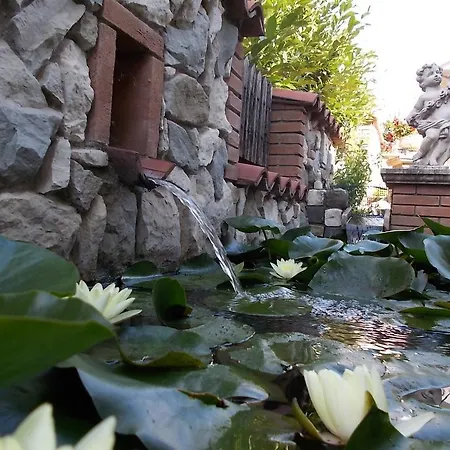 Bed & Breakfast Il Giardino Acquatico *