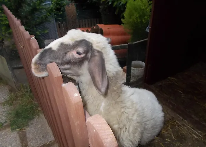 ベッド・アンド・ブレックファスト Il Giardino Acquatico