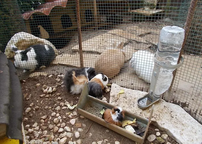 Il Giardino Acquatico