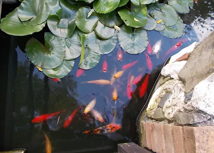 ベッド・アンド・ブレックファスト Il Giardino Acquatico 3*