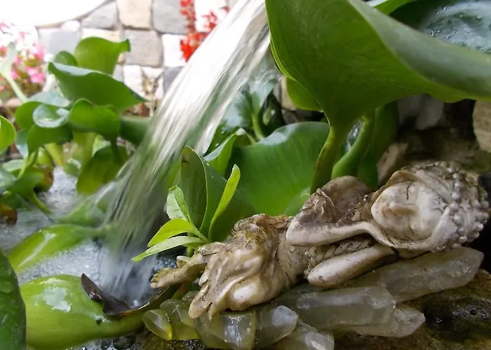 Il Giardino Acquatico