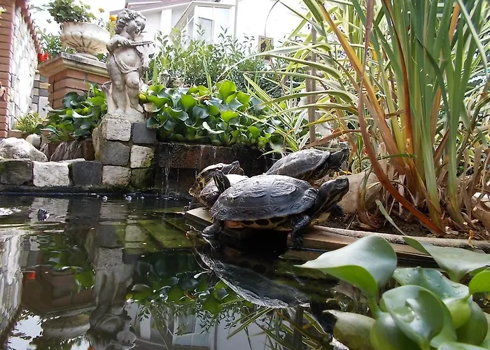 Il Giardino Acquatico Коппито