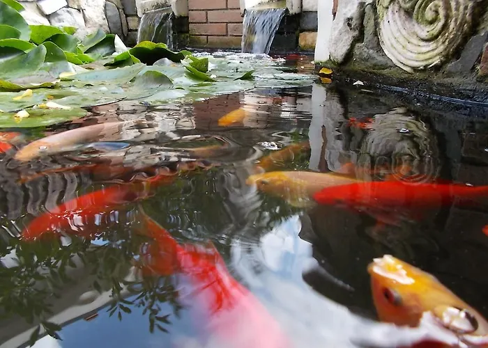 ベッド・アンド・ブレックファスト Il Giardino Acquatico